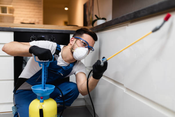 Best Local Pest Control Services  in Dalworthington Gardens, TX