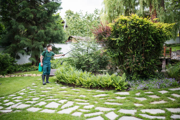 Best Commercial Pest Control Services  in Dalworthington Gardens, TX